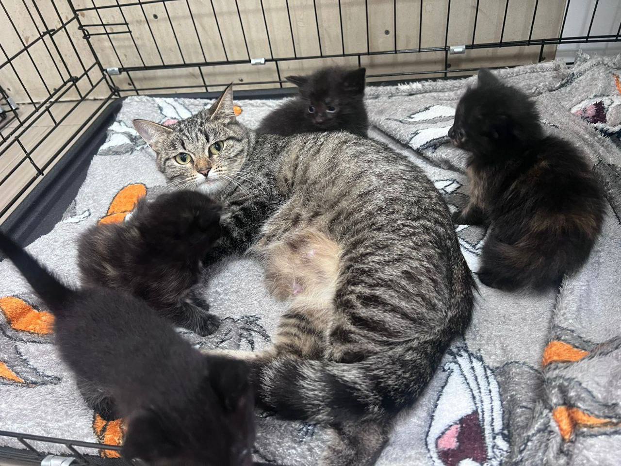 Фотография