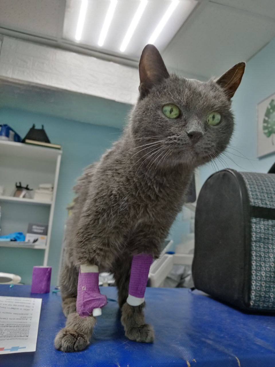 Фотография