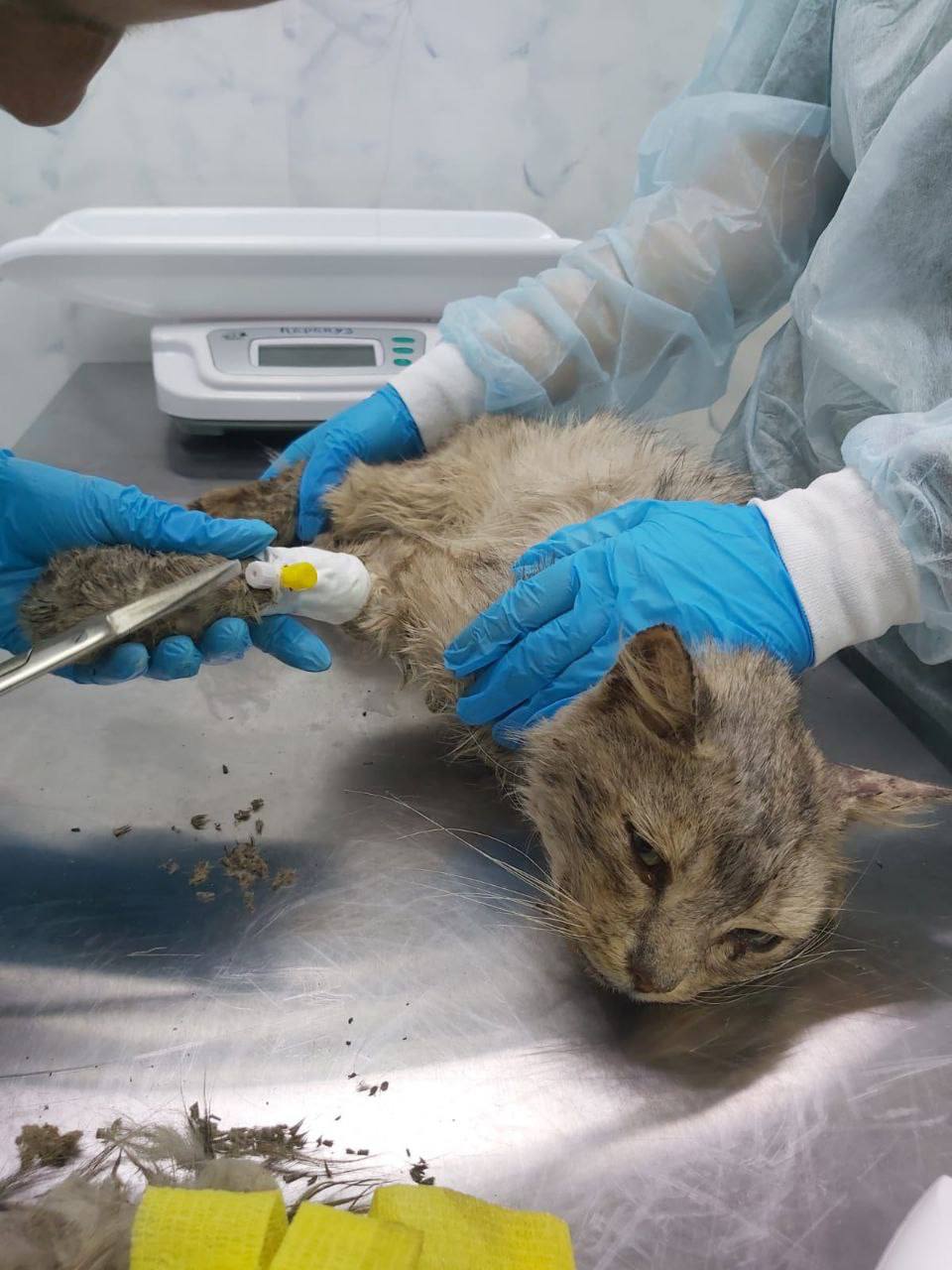 Фотография