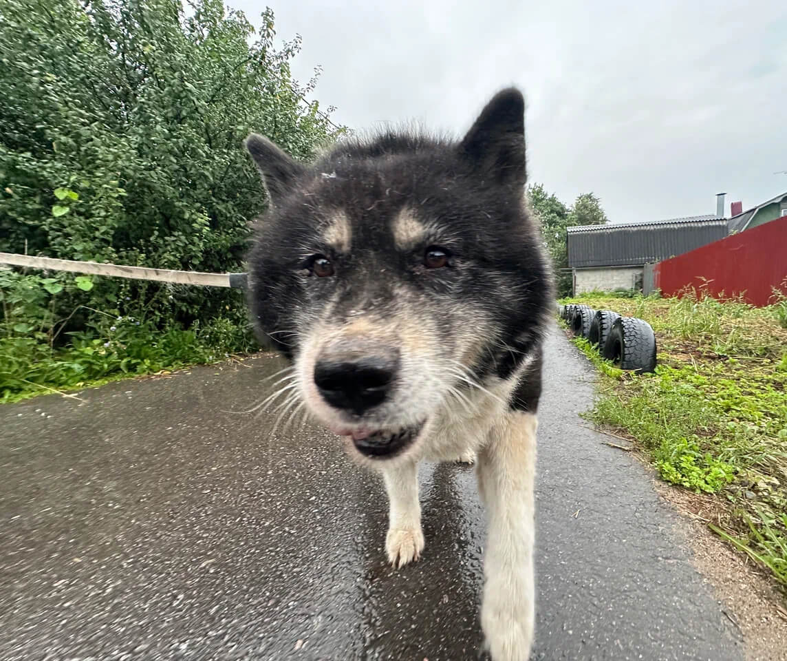 Фотография