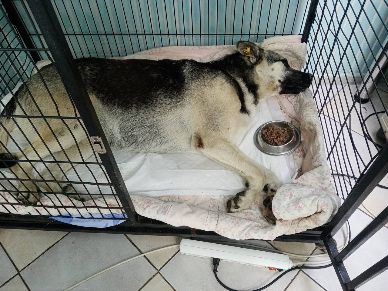 Фотография